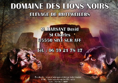 Du Domaine Des Lions Noirs